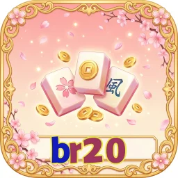 br20